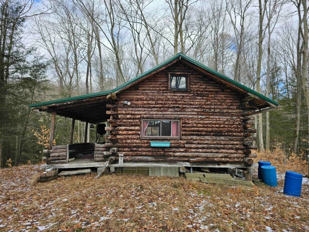 Rustic Log Cabin with 27 Wooded Acres in Dryden NY 634 Ringwood Rd near Ithaca featured image