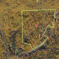 Rustic Log Cabin with 27 Wooded Acres in Dryden NY 634 Ringwood Rd near Ithaca images 3
