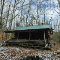 Rustic Log Cabin with 27 Wooded Acres in Dryden NY 634 Ringwood Rd near Ithaca images 4