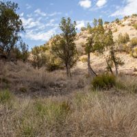 Fortress Cliffs Ranch images 4