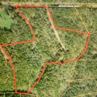 Golden Trail images 2