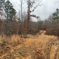 Golden Trail images 3
