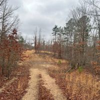 Golden Trail images 4