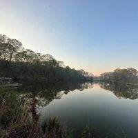 531 Acres Hunting Land Camp Lake for Sale SW MS