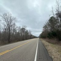 53 acres - near Camden AL images 5