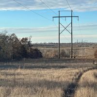 20 acres Undeveloped Land for sale Ratliff City Oklahoma