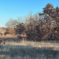 20 acres Undeveloped Land for sale Ratliff City Oklahoma images 2