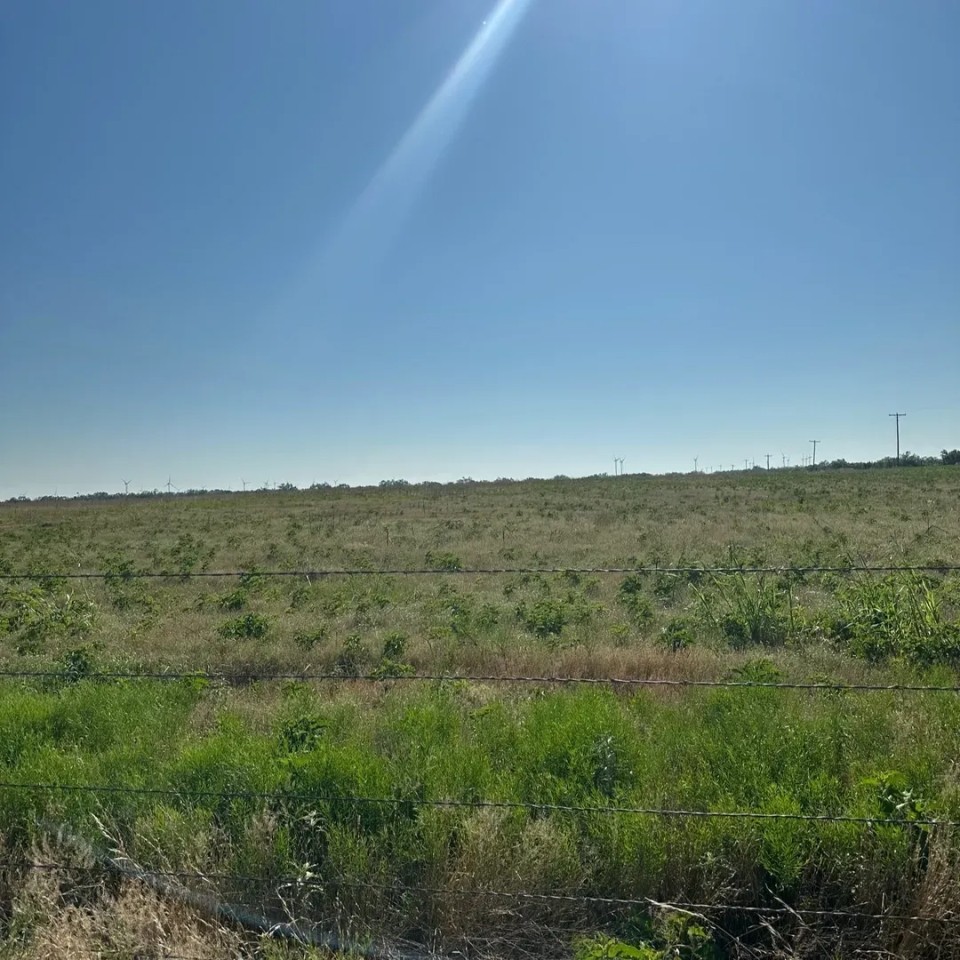New Listing 10.5 Acres Tract 1 Callahan County featured image