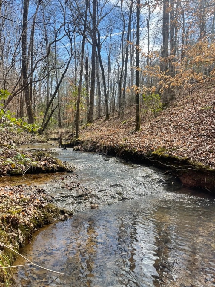 15 - Acres Tallapoosa Co. featured image