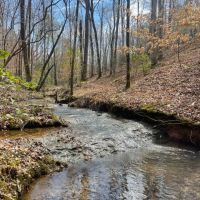 15 - Acres Tallapoosa Co.