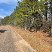 15 - Acres Tallapoosa Co. images 2