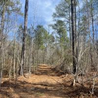 15 - Acres Tallapoosa Co. images 3