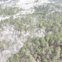 15 - Acres Tallapoosa Co. images 4