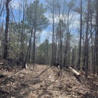 15 - Acres Tallapoosa Co. images 5
