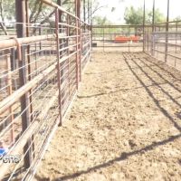 Richland Springs Hunting Ranch images 5