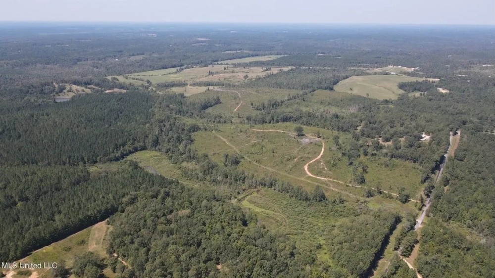 122 Acres for Sale in Jasper County featured image