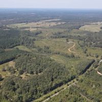 122 Acres for Sale in Jasper County images 3