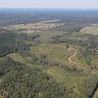 122 Acres for Sale in Jasper County images 4
