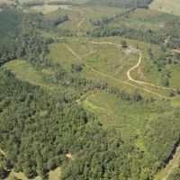 122 Acres for Sale in Jasper County images 5