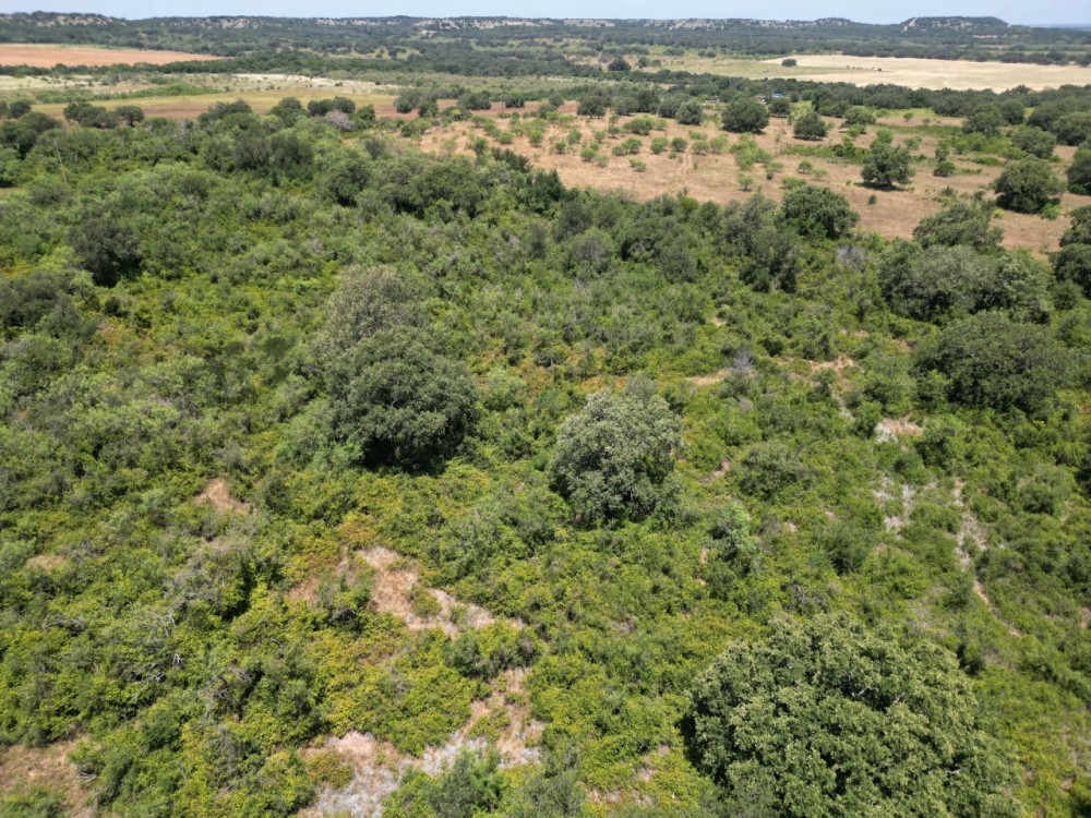 Back on Market 15 - Acres Brown County featured image