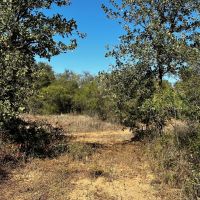 Back on Market 15 - Acres Brown County images 5
