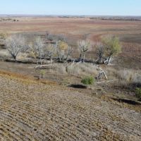 Rooks County Cultivation and Grass images 1