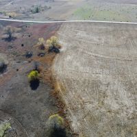 Rooks County Cultivation and Grass images 3