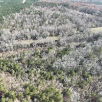 93 Ac Timber Residential Hunting Tract in Roopville GA