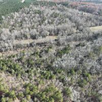 93 Ac Timber Residential Hunting Tract in Roopville GA images 3