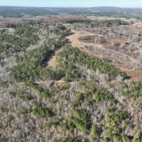 93 Ac Timber Residential Hunting Tract in Roopville GA images 4