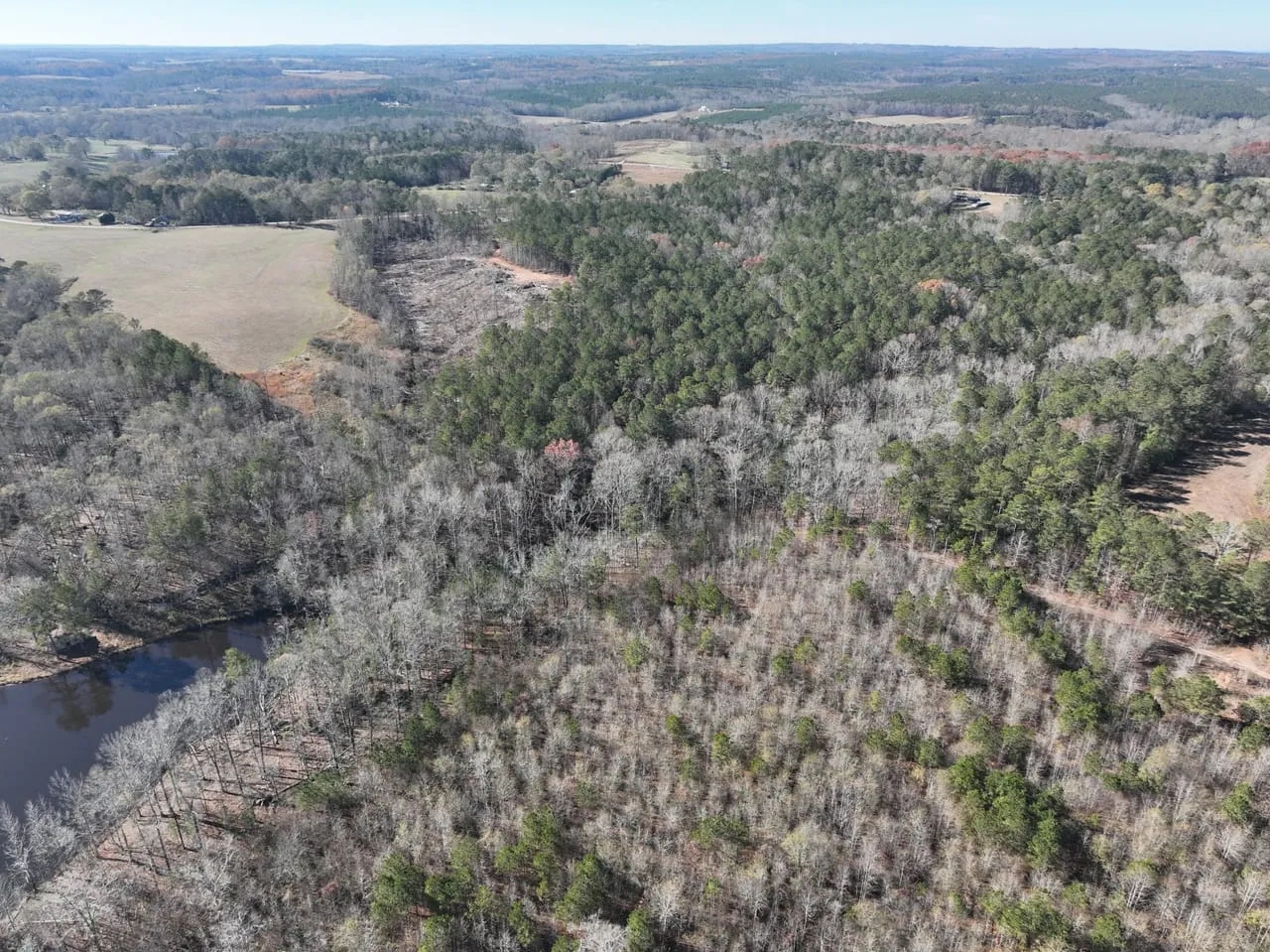 93 Ac Timber Residential Hunting Tract in Roopville GA Hunting Land(00)