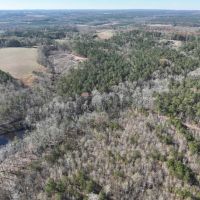 93 Ac Timber Residential Hunting Tract in Roopville GA images 5
