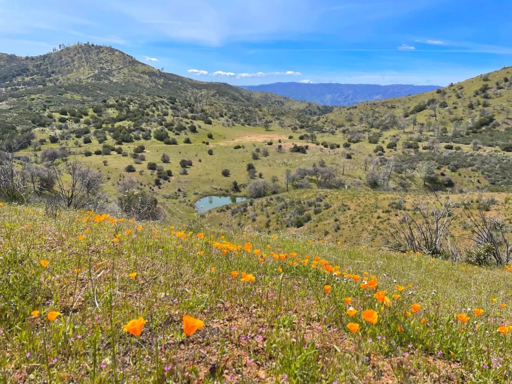 The Adobe Valley Ranch featured image