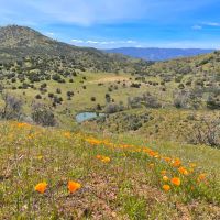 The Adobe Valley Ranch