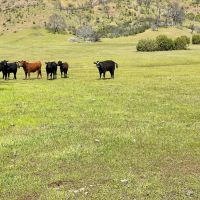 The Adobe Valley Ranch images 2
