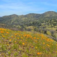 The Adobe Valley Ranch images 3