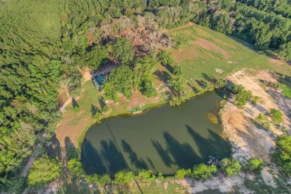 Turnkey Hunting Camp with 120 Acres for Sale Southeast LA featured image