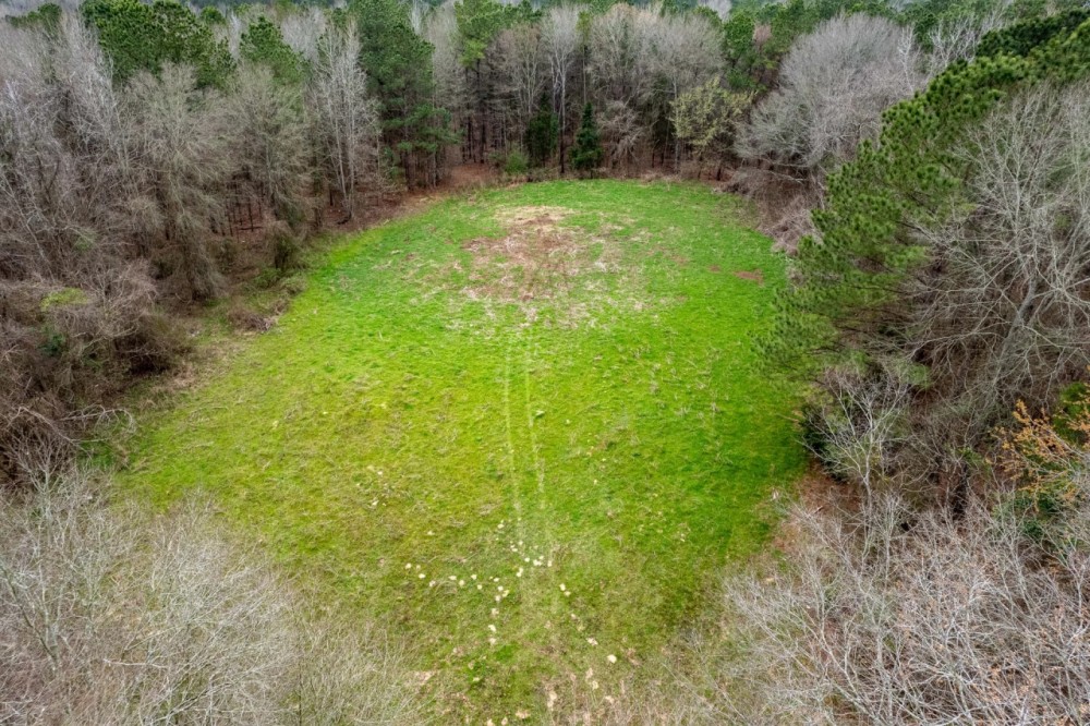 124 Acre Sportsman s Dream featured image