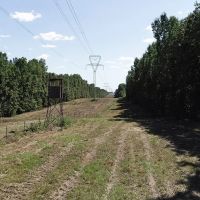 306 - Acre Texas Hunting Timber Tract