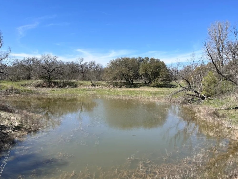 100 - Acres with Home and Guest Cabin featured image