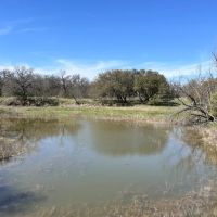 100 - Acres with Home and Guest Cabin