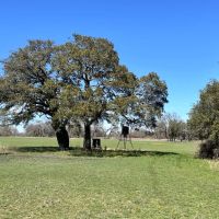 100 - Acres with Home and Guest Cabin images 3