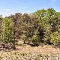 100 - Acres with Home and Guest Cabin images 4