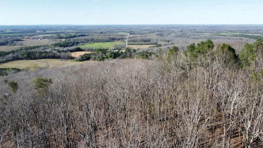 Bankhead National Forest 15 Acres featured image
