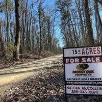 Bankhead National Forest 15 Acres images 2