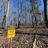 Bankhead National Forest 15 Acres images 3
