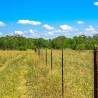 Medina County 3 Bar D Ranch North W of Yancey