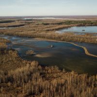 One Equity Share at Lone Cypress LLC in Tallahatchie County MS images 5