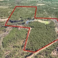 Hunting Land for Sale with Camp Stone Perry County