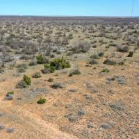 Lake Alan Henry 157 Ranch images 2